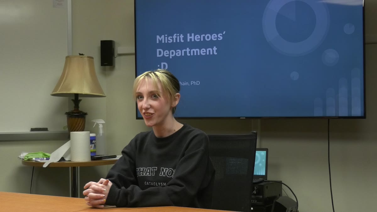 Misfit Heroes artwork